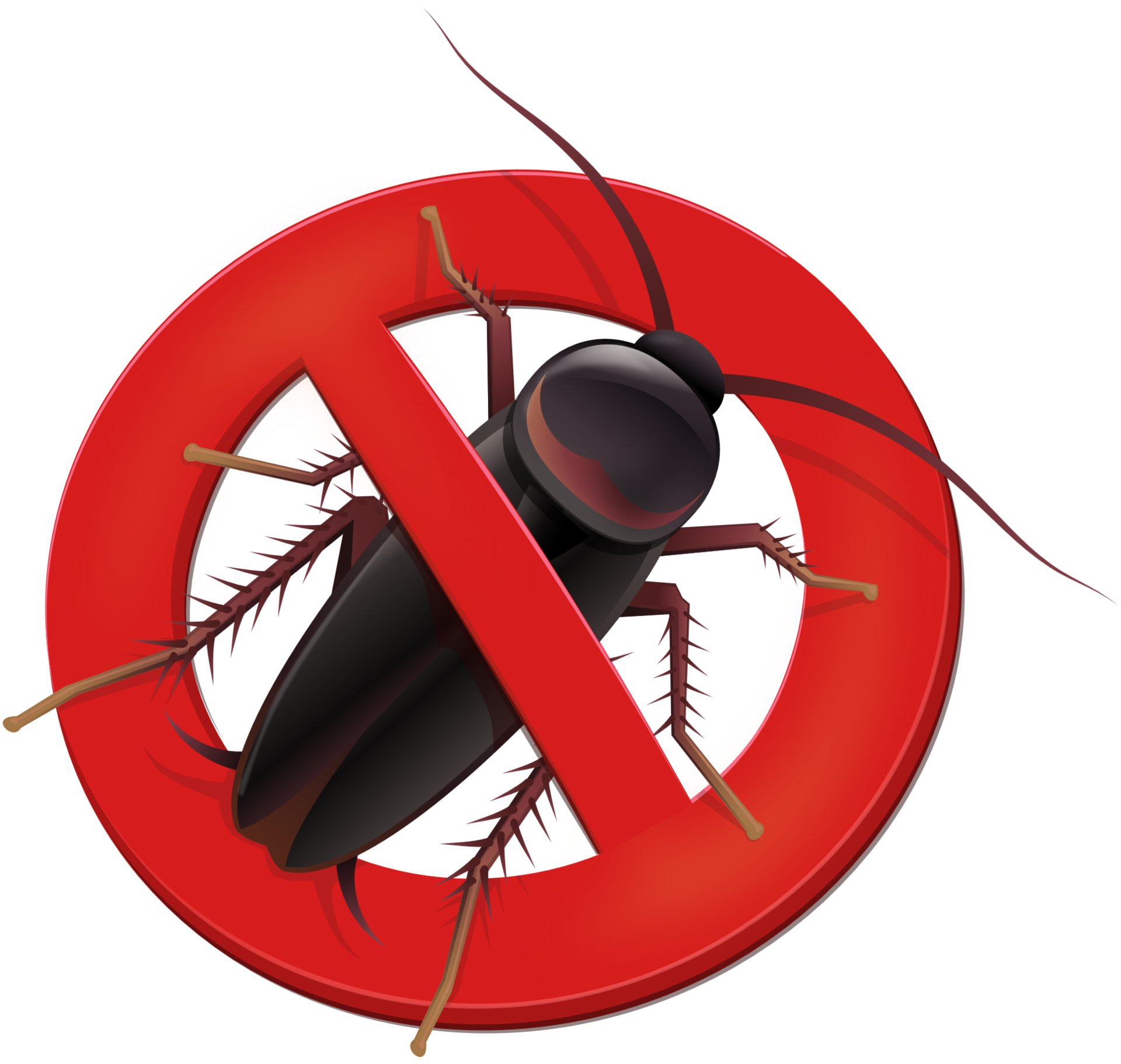 Pest Removal