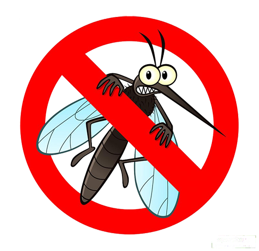 Insect Removal