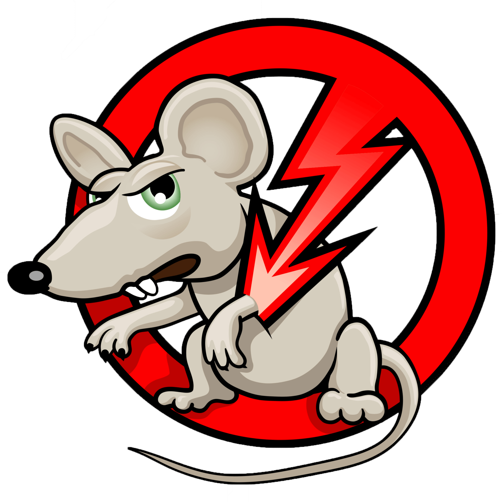 Rats Removal
